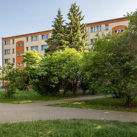 Ochota Comfort By Bookinghost *