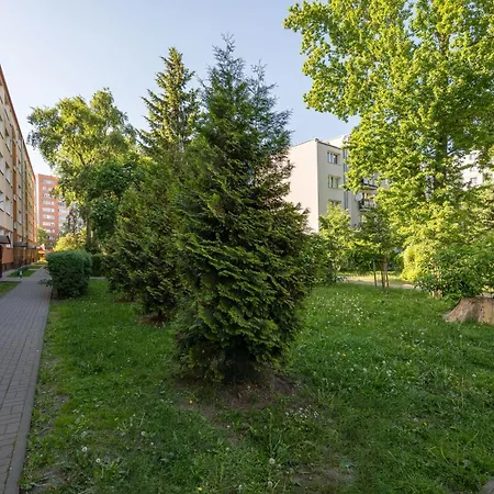 Ochota Comfort By Bookinghost *